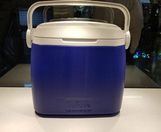 یخچال ماشین پراید با کاربرد های فراوان