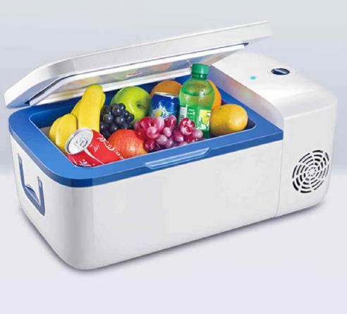 قابلیت های شگفت انگیز یخچال خودرو هیوندا